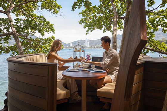 Romance Among the Treetops Package - أماري فوكيت