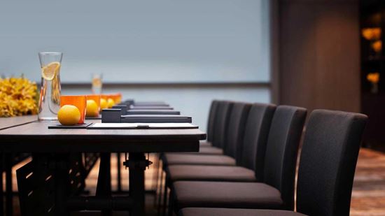 Amarin Meeting Room