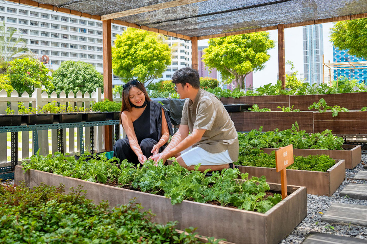 Steps Towards a Greener Future - أماري بانكوك